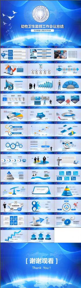 中国动物卫生监督工作总结蓝色大气ppt模板