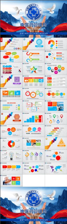 中医药管理局总结报告PPT模板
