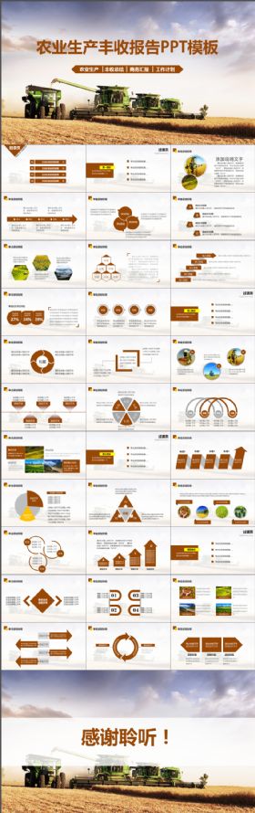 农业丰收秋天麦子金黄色丰收PPT模板