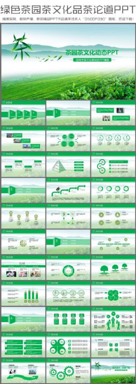 清新茶园茶文化品茶论道茶楼策划报告动态PPT模板