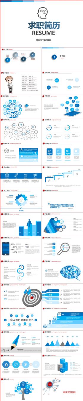 简约精致个人求职竟聘简历PPT模板