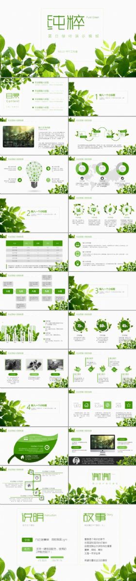 绿叶清新纯粹工作报告PPT模板