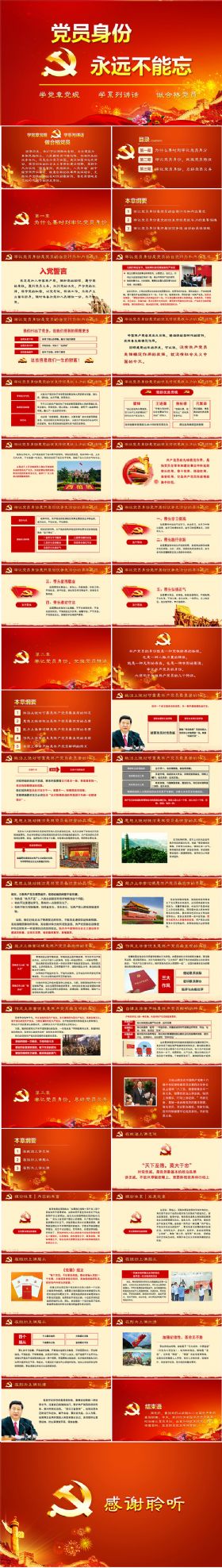 党员身份永远不能忘学党章党规系列讲话做全格党员PPT