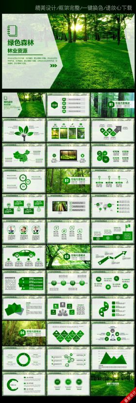 绿色森林植树造林林业木材园林绿化PPT