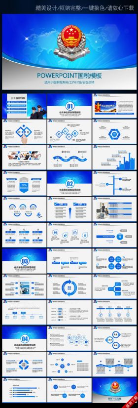 蓝色国税局税务税收工作总结报告会议PPT