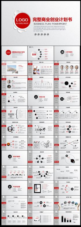 2016微粒体完整商业创业计划书