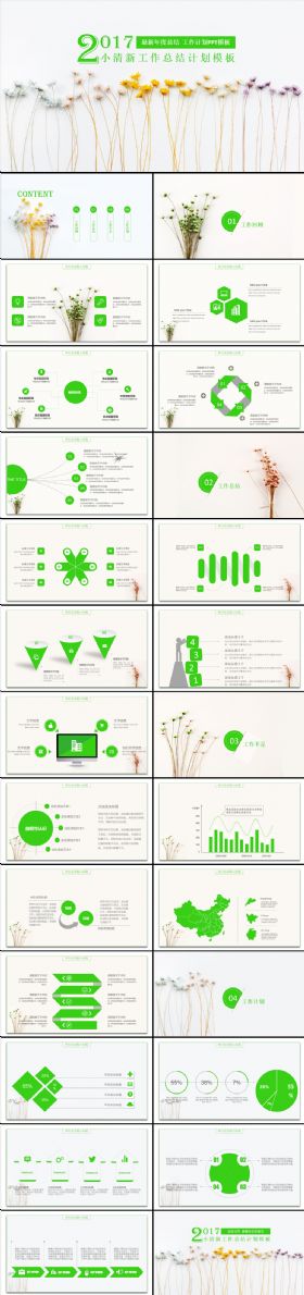 2017小清新年终总结计划PPT模板