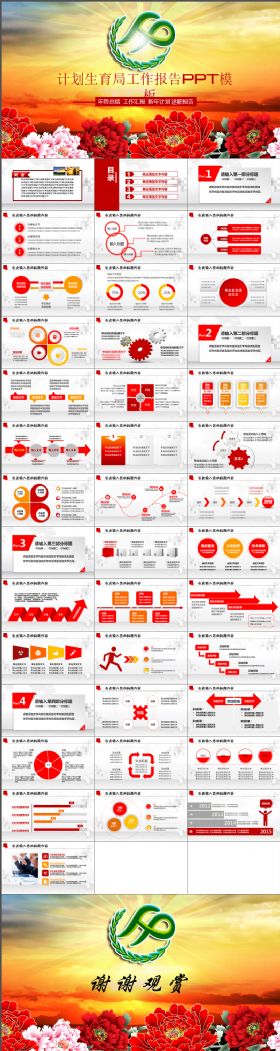 红色大气计划生育局工作总结计划动态PPT模板