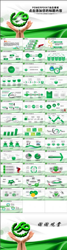 人口与计划生育局工作年终总结计划PPT模板