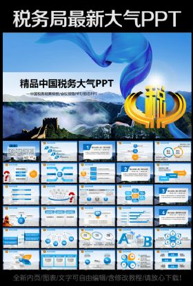 【极致设计】中国税务局国税地税税收工作总结工作汇报计划动态PPT模板