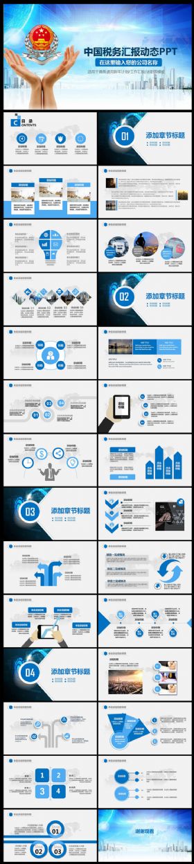 【极致设计】税务国税财税政府工作总结工作汇报计划动态PPT模板