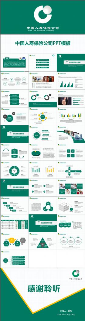 中国人寿保险公司工作总结保险PPT模板