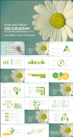 清新淡雅通用动态PPT模板