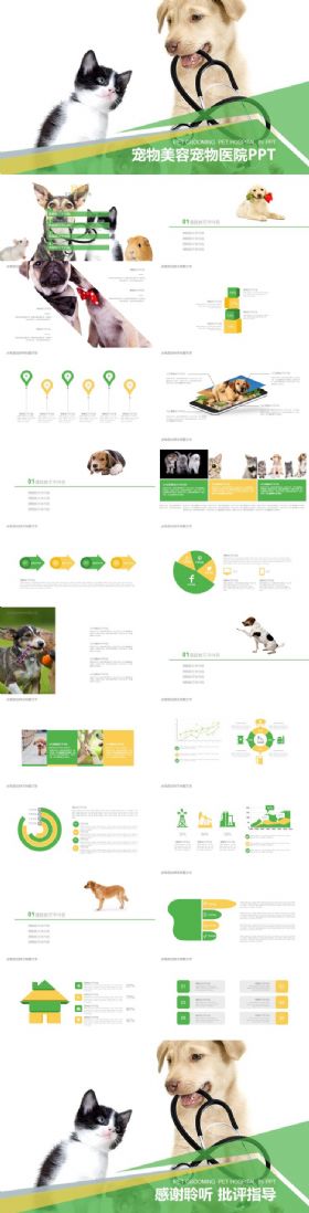 宠物美容宠物医院宠物行业工作汇报总结宠物用品ppt模板