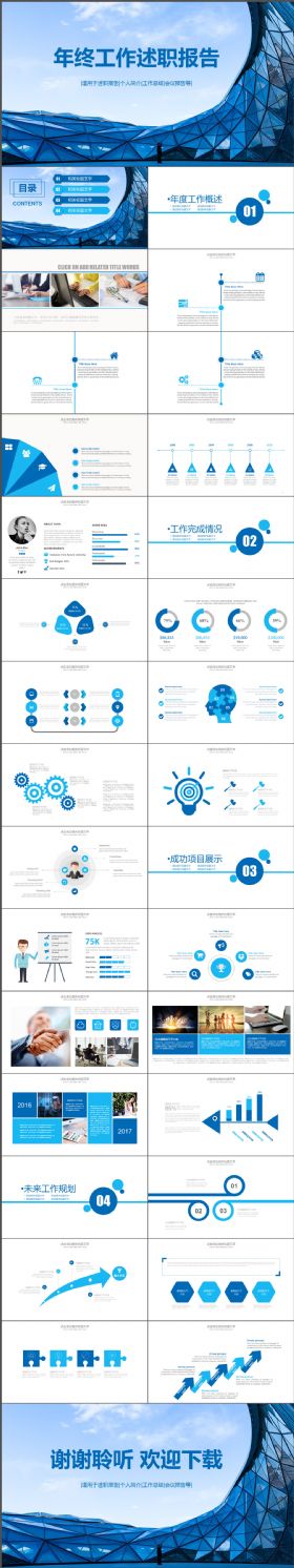 2017蓝色简洁年终总结述职报告通用模板