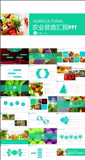农产品招商介绍PPT模板