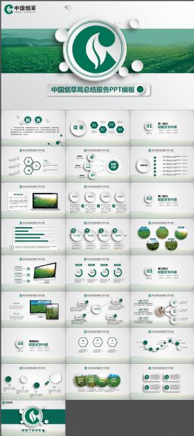 中国烟草局总结报告PPT模板