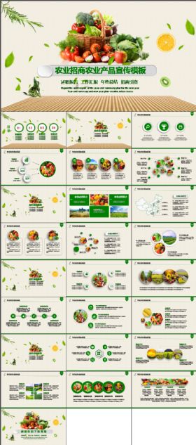 绿色 生态农业招商 农产品引资 销售 推介会 推广PPT模板
