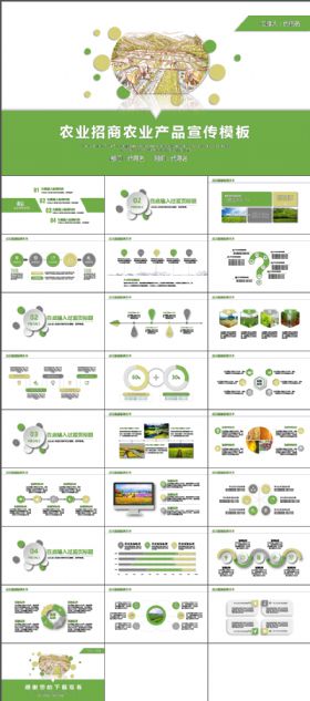 绿色 生态农业招商 农产品引资 销售 推介会 推广PPT模板
