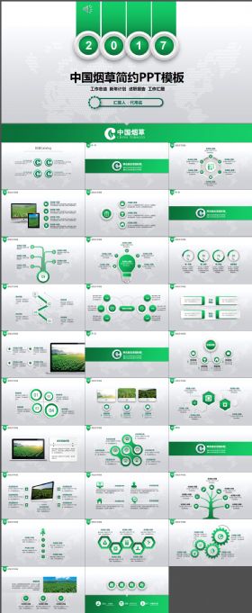 中国烟草简约PPT模板