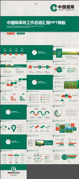 中国烟草局工作总结汇报PPT模板