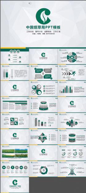 中国烟草工作总结汇报PPT模板