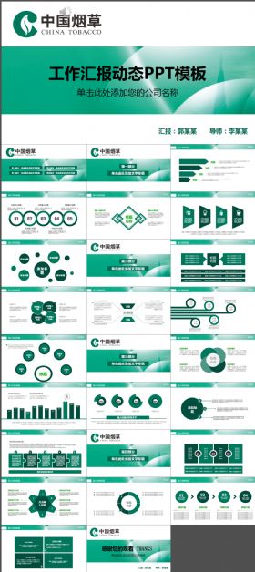 烟草局中国烟草专卖会议报告PPT