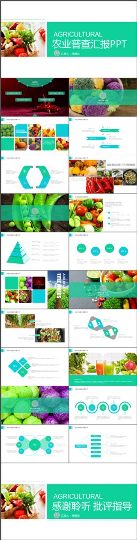 绿色蔬菜农产品介绍生态农业水果营养健康饮食宣传PPT模版
