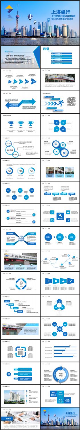蓝色上海银行金融理财投资分析2017工作计划年度总结模板