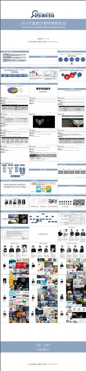 某品牌2015年度数字营销策略规划营销全案落地PPT学习