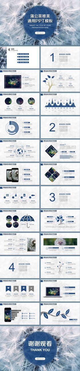 蒲公英唯美商务通用PPT【附赠350页精美图表集】