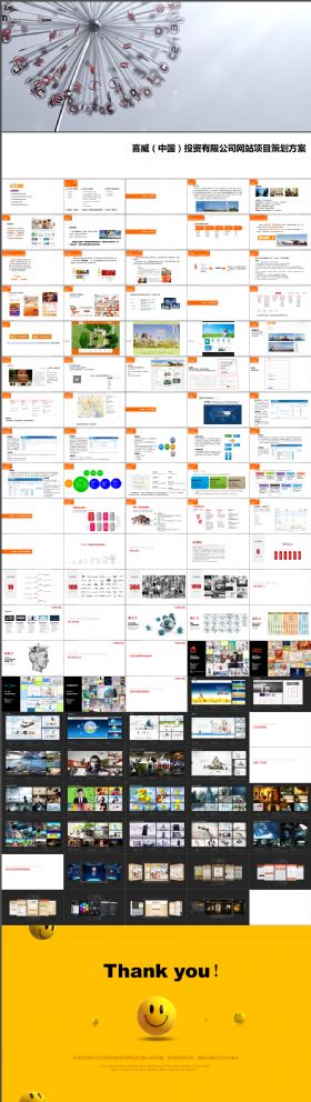喜威（中国）投资有限公司网站项目策划方案PPT学习