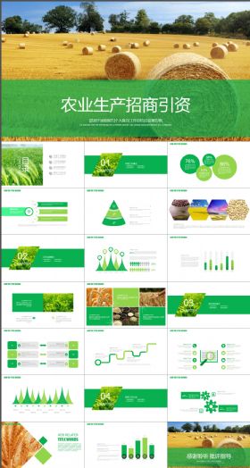 农业生产商务招商引资动态PPT模板