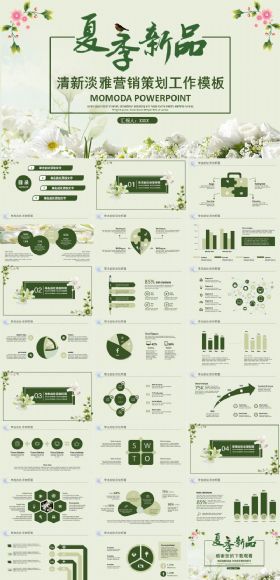 清新淡雅夏季新品上市营销策划工作模板