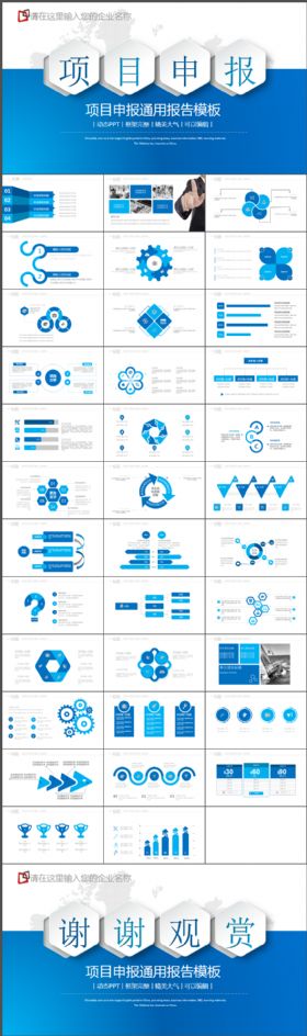 项目申报工作报告通用动态PPT模板