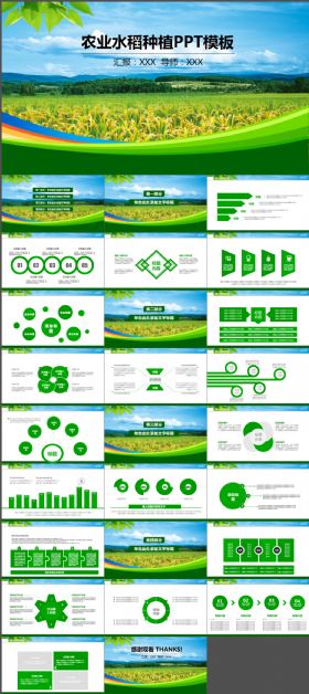绿色农业种植科技粮食作物生产PPT