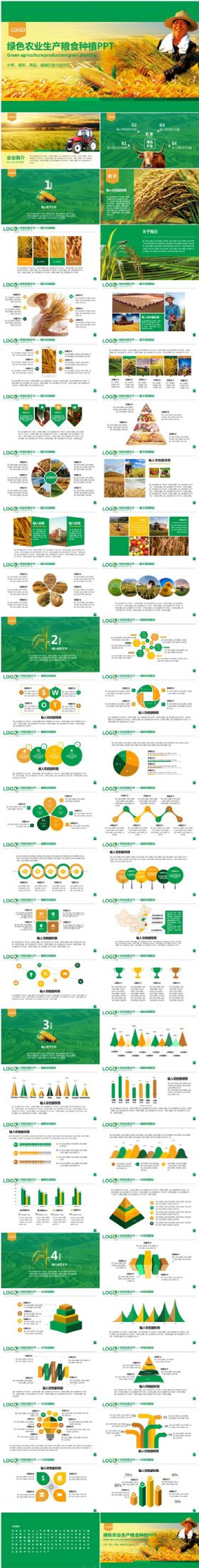 绿色生态农业农民种植生产粮食大丰收PPT模板