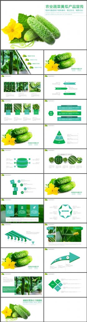 有机蔬菜黄瓜产品宣传PPT模板