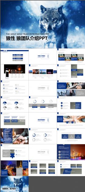 狼群文化 狼道团队精神 企业文化PPT