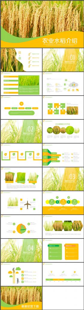 农业农产品水稻产品宣传PPT模板