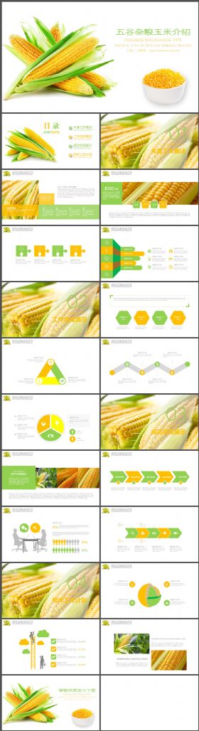 农业农产品玉米产品介绍PPT模板
