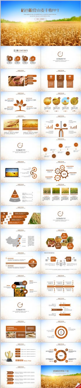 金灿灿稻谷粮食农民农业金秋丰收动态ppt