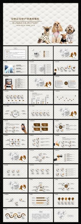 宠物护理宠物店ppt动态模板