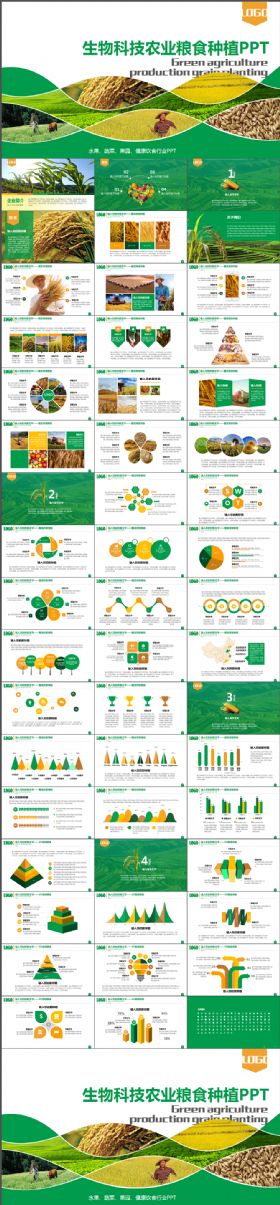 清新大气绿色科技有机农业种植ppt新鲜健康粮食作物生产丰收PPT模板
