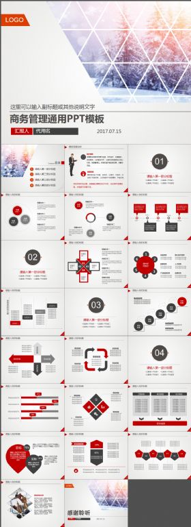 商务管理通用PPT模板