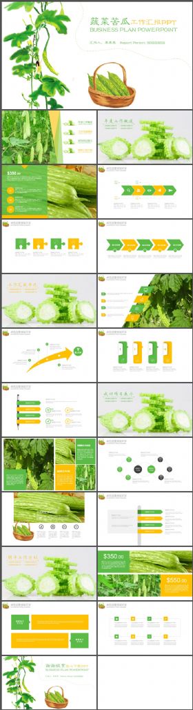 农产品蔬菜苦瓜产品介绍PPT模板