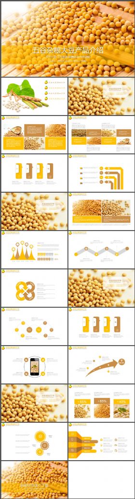 农业五谷杂粮大豆黄豆产品介绍PPT模板