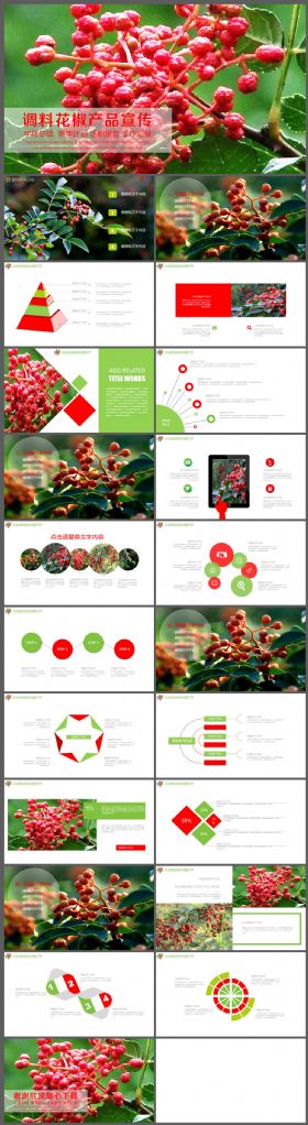 农业调味品调料品花椒产品介绍PPT模板