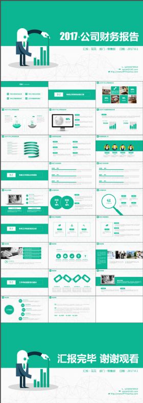 绿色大气简洁公司财务报告月报日报ppt
