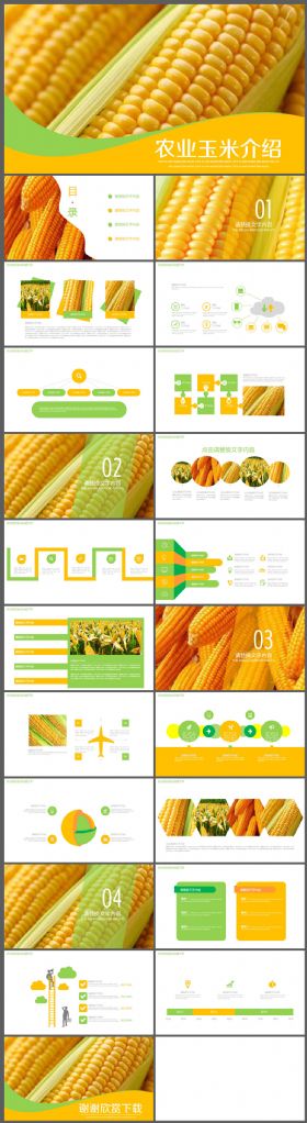 农产品农作物玉米产品介绍PPT模板